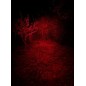 Lampe frontale haute puissance EXR1700WL Ultra trail, spéciale faune